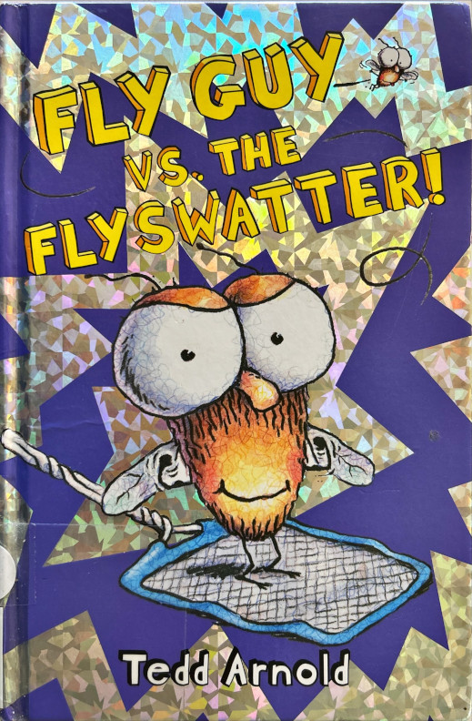 FlyGuy Cover